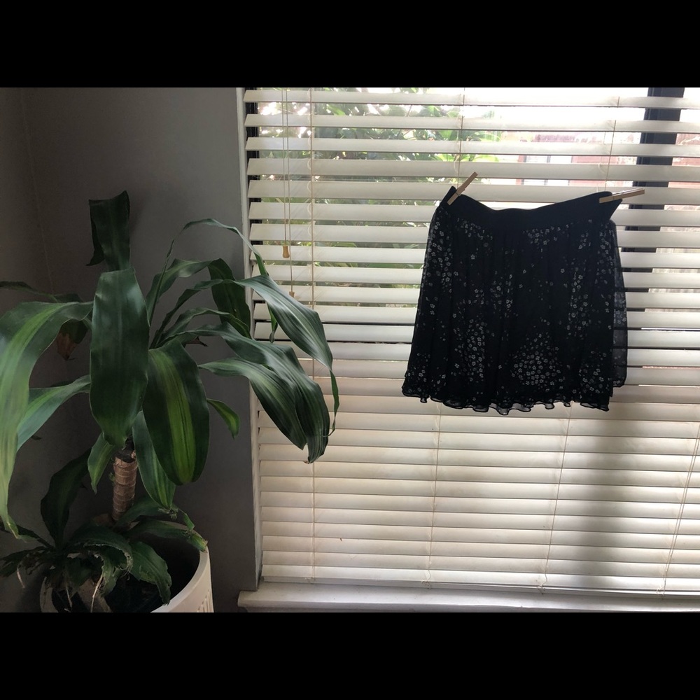 Express skirt
